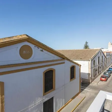Luminoso Y Acogedor En El Centro Apartamento *
